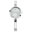 Titan Raga Viva Grey Dial Women Watch With Metal Strap - image number 0