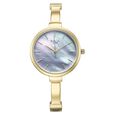 Titan Raga Showstopper Quartz Analog Mother Of Pearl Dial Metal Strap Watch for Women - image number 0