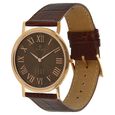 Titan Quartz Analog Brown Dial Leather Strap Watch for Men - image number 1