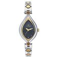 Titan Quartz Analog Black Dial Watch for Women - image number 0