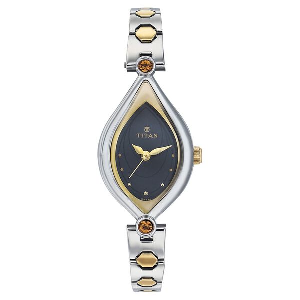 Titan Quartz Analog Black Dial Watch for Women - image number 0