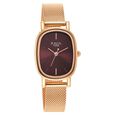 Titan Raga Viva Brown Dial Analog Stainless Steel Strap Watch for Women - image number 1