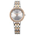 Titan Raga Showstopper Quartz Analog Silver Round Dial Two Toned Metal Strap Watch For Women - image number 0