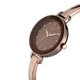 Titan Quartz Analog Brown Dial Metal Strap Watch for Women - image number 1