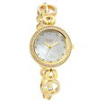 Titan Raga Mother of Pearl Dial Women Watch With Metal Strap - image number 0