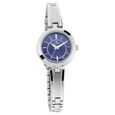 Titan Quartz Analog Blue Dial Metal Strap Watch for Women - image number 1