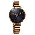 Titan Secluded Quartz Analog Blue Dial Metal Strap Watch For Women - image number 1
