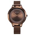 Titan Razzle Dazzle Quartz Analog Brown Dial Stainless Steel Mesh Strap Watch For Women - image number 0