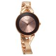 Titan Raga Chic Quartz Analog Rose Gold Dial Metal Strap Watch for Women - image number 1