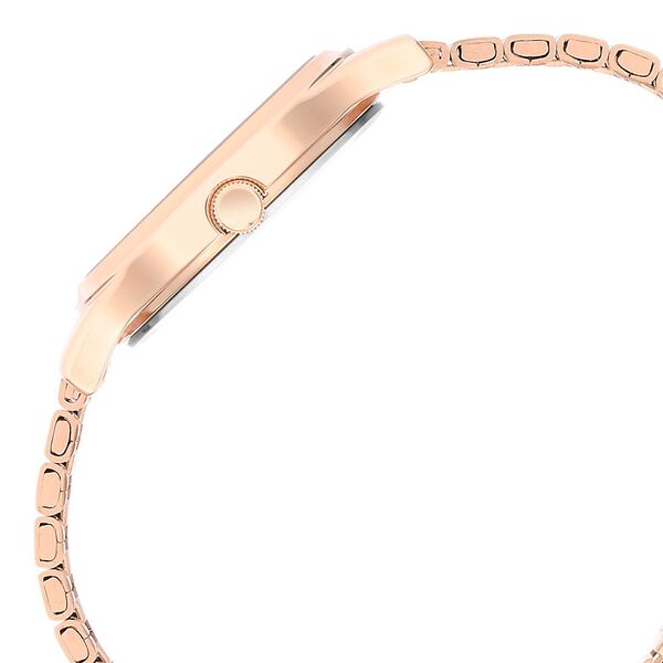 Titan Karishma Brown Dial Metal Strap Watch for Women - image number 3