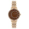 Titan Quartz Analog Silver Dial Stainless Steel Strap Watch for Women