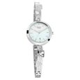 Titan Raga Viva Mother of Pearl Dial Analog with Date Silver Metal Strap Watch for Women - image number 1