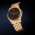 Titan Karishma Brown Dial Analog with Day and Date Stainless Steel Strap Watch for Men - image number 2