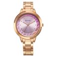 Titan Razzle Dazzle Quartz Analog Brown Dial Stainless Steel Mesh Strap Watch For Women