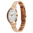 Titan Secluded Quartz Analog Mother Of Pearl Dial Rose Gold Stainless Steel Strap Watch For Women - image number 2