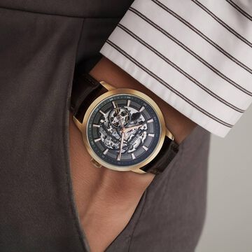 Titan Phoenix Skeletal Automatic Analog with Gun Dial Brown Leather Strap Watch for Men