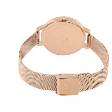 Olivia Burton Quartz Analog Multicoloured Dial Stainless Steel Strap Watch for Women