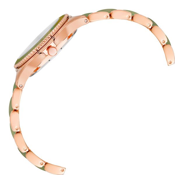 Anne Klein Quartz Analog Green Dial Golden Plastic Strap Watch For Women - image number 1