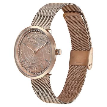 Sonata Poze Quartz Analog Rose Gold Dial Mesh Strap Watch for Women