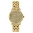 Titan Quartz Analog with Day and Date Champagne Dial Metal Strap Watch for Women - image number 0