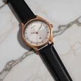Titan Neo Economy Quartz Analog with Date Grey Dial Brown Leather Strap Watch For Men