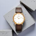 Titan Nebula Vintage 18k Gold Analog Leather Strap Watch for Men - image number 5