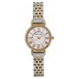 Anne Klein Quartz Analog Silver Dial Metal Strap Watch for Women - image number 0