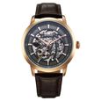 Titan Phoenix Skeletal Automatic Analog with Gun Dial Brown Leather Strap Watch for Men - image number 1