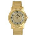 Titan Champagne Dial Analog Stainless Steel Strap Watch for Men - image number 0