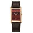 Titan Nebula Amer Stone 18 KT Gold Quartz Analog Aventurine Dial Blue Leather Strap Watch For Men