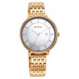 Titan Premium Workwear White Dial Analog with Date Stainless Steel Strap watch for Women - image number 0