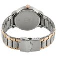 Titan Quartz Analog with Day and Date Multicoloured Dial Stainless Steel Strap Watch for Men - image number 3