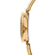 Titan Nebula Vintage 18k Gold Analog with Diamond Watch for Women - image number 2