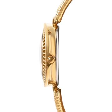 Titan Nebula Vintage 18k Gold Analog with Diamond Watch for Women