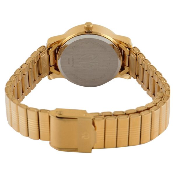 Titan Quartz Analog with Date Silver Dial Stainless Steel Strap Watch for Women - image number 2