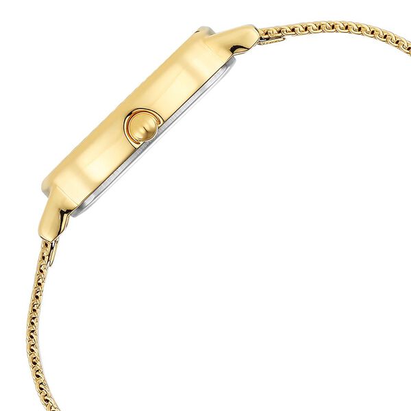 Titan Raga Viva Champagne Dial Analog Stainless Steel Strap watch for Women - image number 3