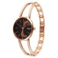 Titan Raga Afterglow Quartz Analog Brown Dial Rose Gold Metal Strap Watch For Women - image number 2