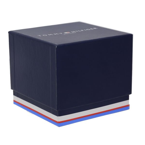 Tommy Hilfiger Quartz Multifunction Blue Dial Metal Strap Watch for Men - image number 4