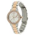 Titan Quartz Analog Silver Dial Stainless Steel Strap Watch for Women - image number 1