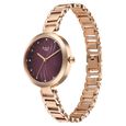 Titan Raga Memoirs Quartz Analog Burgundy Dial With Rose Gold Color Metal Strap Watch For Women - image number 2