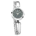 Titan Raga Viva Black Dial Analog Metal Strap Watch for Women - image number 1