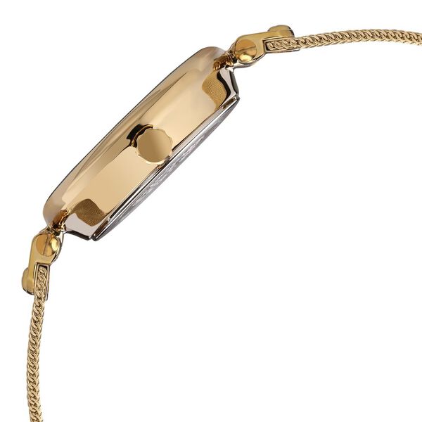 Anne Klein Quartz Analog Green Dial Rose Gold Metal Strap Watch For Women - image number 3