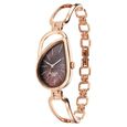 Titan Raga Chic Quartz Analog Brown Dial Rose Gold Metal Strap Watch for Women - image number 2
