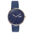 Sonata Poze Quartz Analog Blue Dial Blue Color Stainless Steel Strap Watch For Women - image number 2