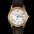 Titan Nebula Swiss Automatic 18 Karat Solid Gold Watch for Men - image number 3