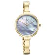 Titan Raga Showstopper Quartz Analog Mother Of Pearl Dial Metal Strap Watch for Women - image number 1