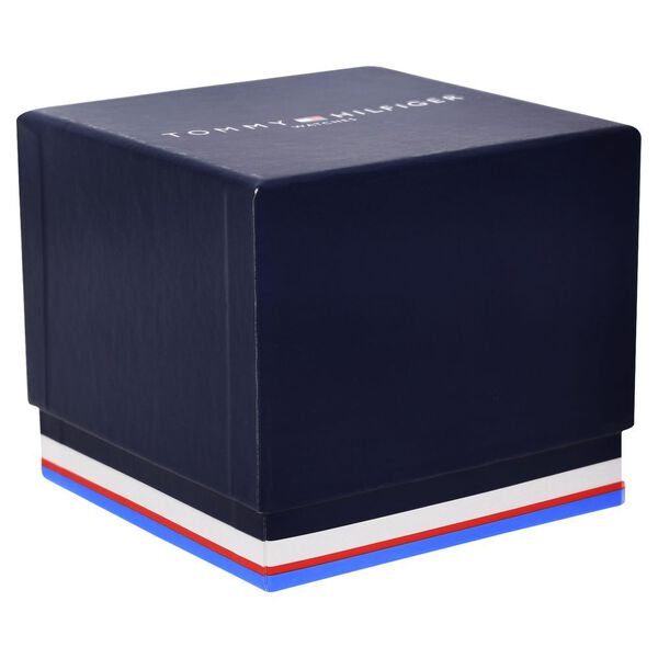 Tommy Hilfiger Quartz Multifunction Blue Dial Stainless Steel Strap Watch for Men - image number 4