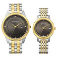 Titan Bandhan Eternal Pair Analog with Date and Gun Dial Dual Tone Stainless Steel Strap Watch for Couples - image number 0