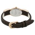 Titan Raga Brown Dial Analog Leather Strap watch for Women - image number 3