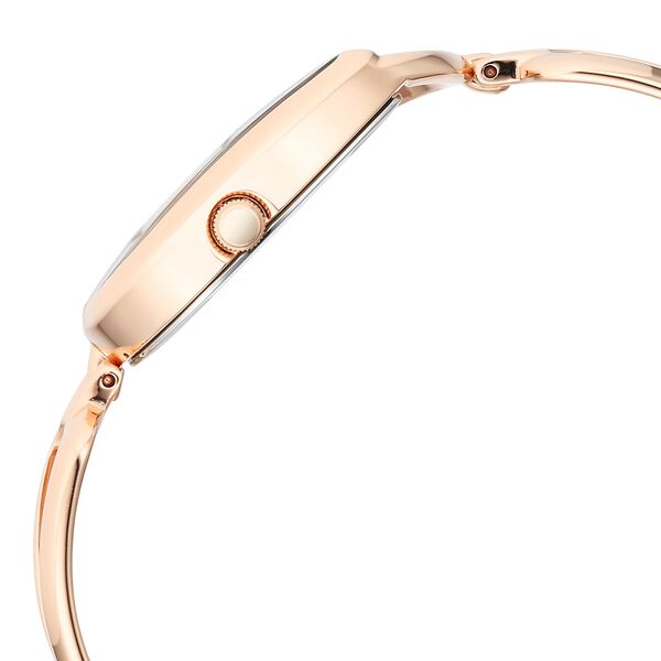 Titan Raga Chic Quartz Analog Brown Dial Rose Gold Metal Strap Watch for Women - image number 3